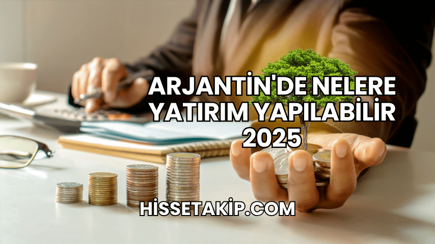 Arjantin'de Nelere Yatırım Yapılabilir 2025