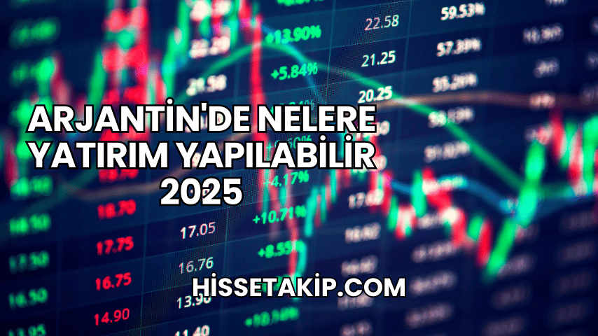 Arjantin'de Nelere Yatırım Yapılabilir 2025