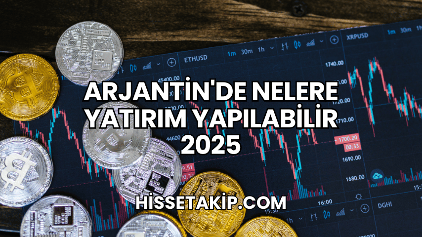 Arjantin'de Nelere Yatırım Yapılabilir 2025