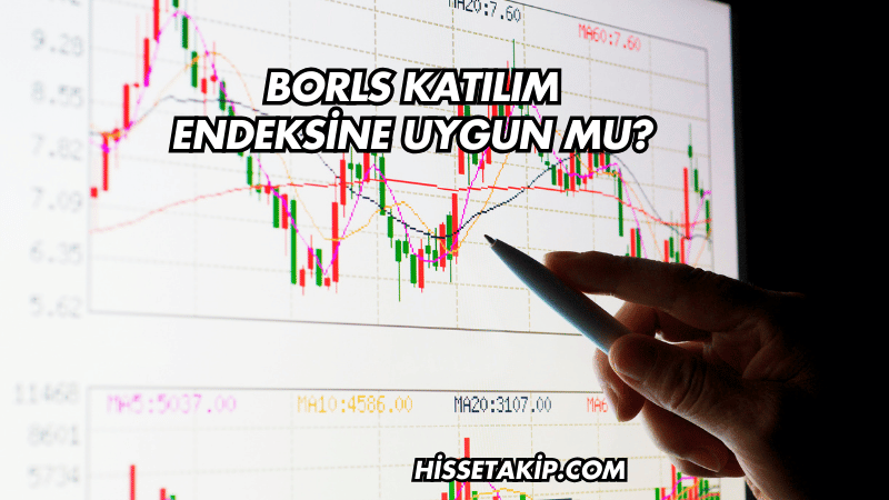 Borls Katılım Endeksine Uygun mu?