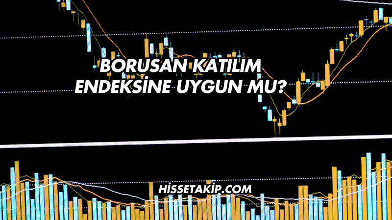 Borusan Katılım Endeksine Uygun mu?