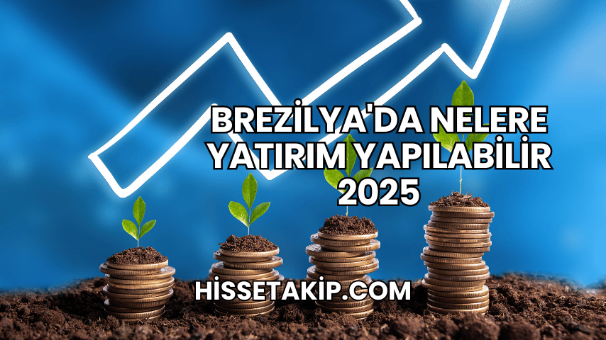 Brezilya'da Nelere Yatırım Yapılabilir 2025