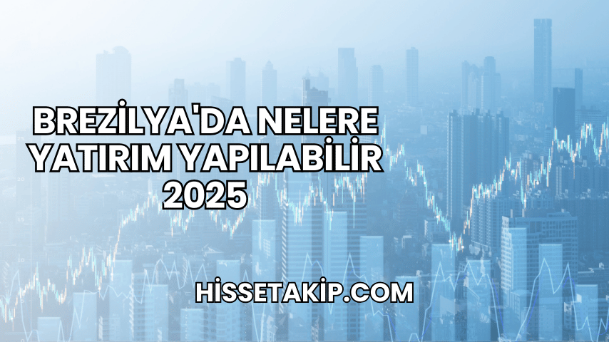 Brezilya'da Nelere Yatırım Yapılabilir 2025