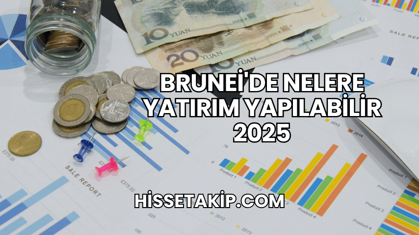 Brunei'de Nelere Yatırım Yapılabilir 2025