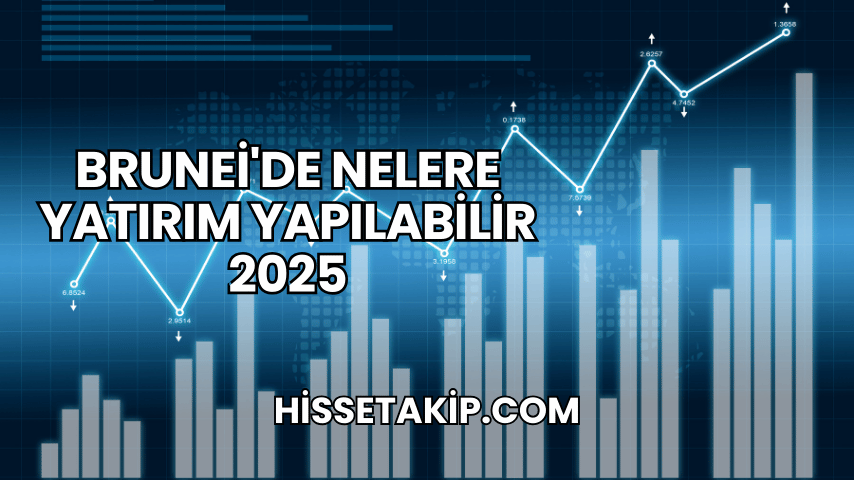 Brunei'de Nelere Yatırım Yapılabilir 2025