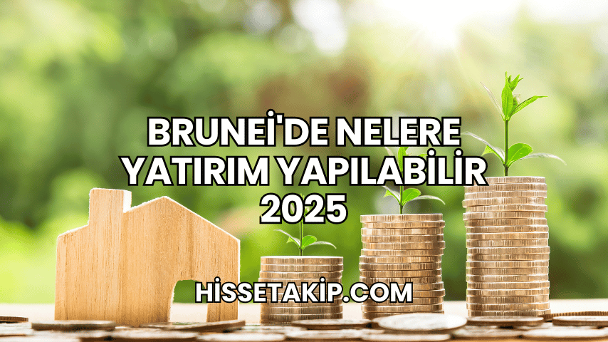 Brunei'de Nelere Yatırım Yapılabilir 2025