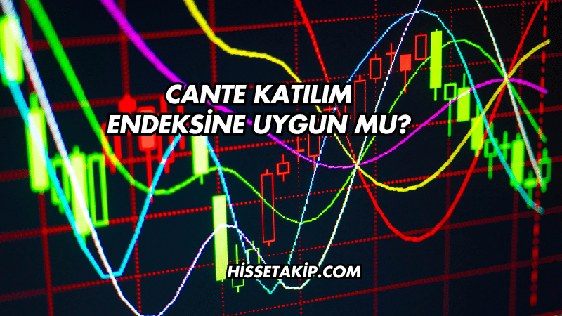 CANTE Katılım Endeksine Uygun mu?