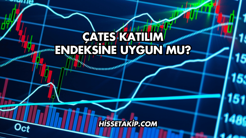 ÇATES Katılım Endeksine Uygun mu?