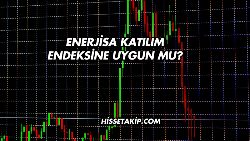 Enerjisa Katılım Endeksine Uygun mu?