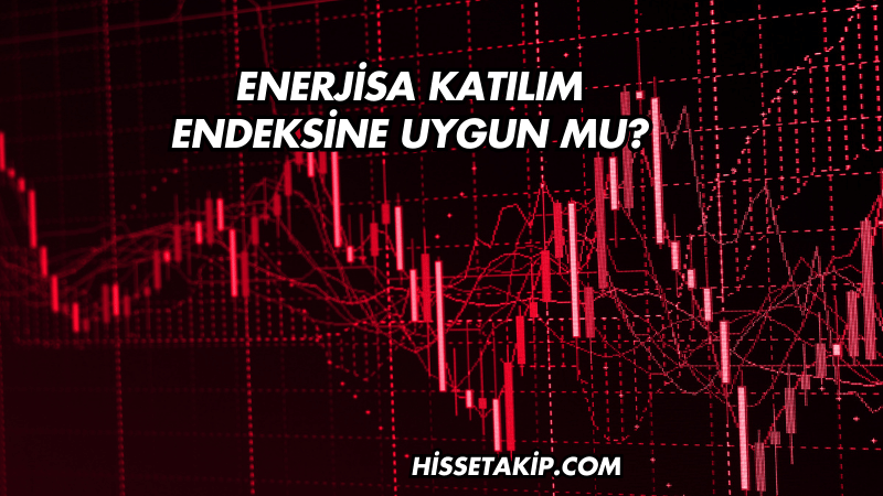 Enerjisa Katılım Endeksine Uygun mu?