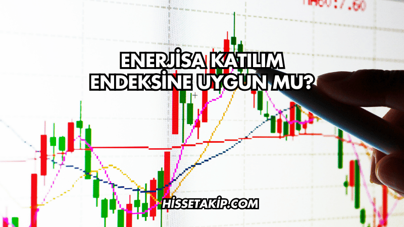 Enerjisa Katılım Endeksine Uygun mu?