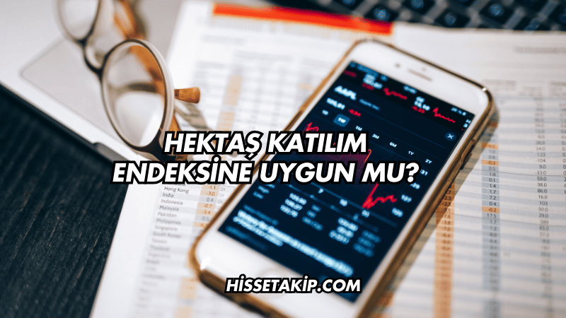 Hektaş Katılım Endeksine Uygun mu?