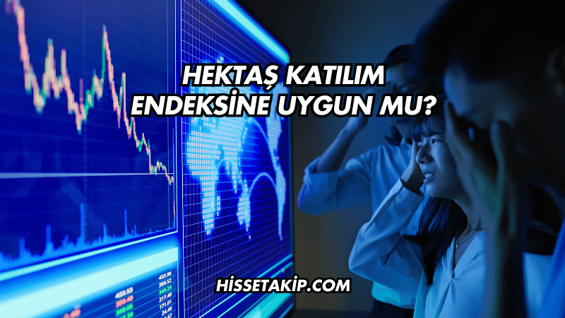 Hektaş Katılım Endeksine Uygun mu?