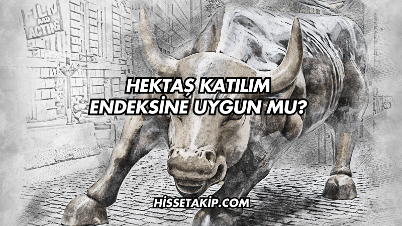 Hektaş Katılım Endeksine Uygun mu?