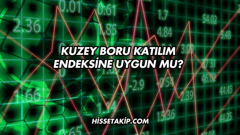 Kuzey Boru Katılım Endeksine Uygun mu?