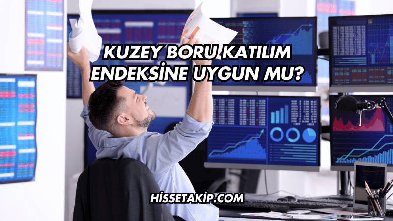 Kuzey Boru Katılım Endeksine Uygun mu?