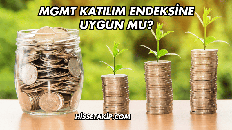 MGMT Katılım Endeksine Uygun mu?