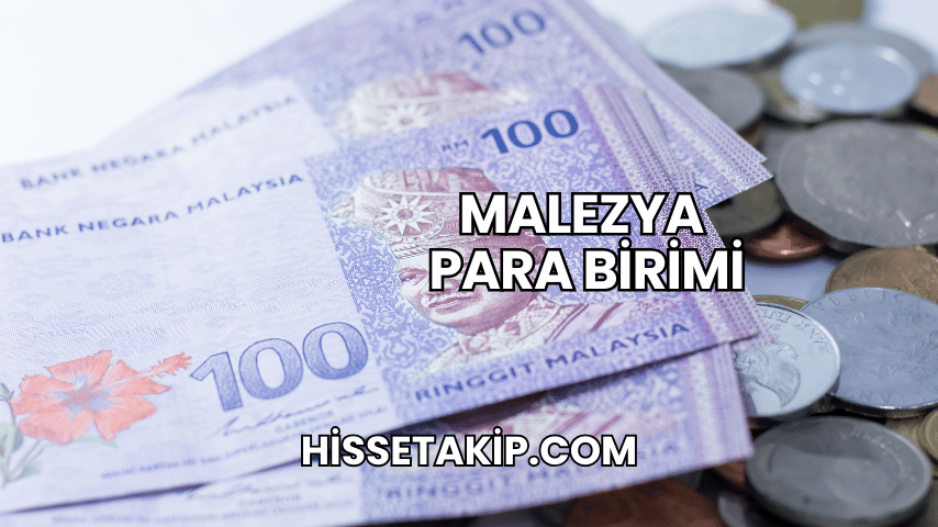 Malezya Para Birimi