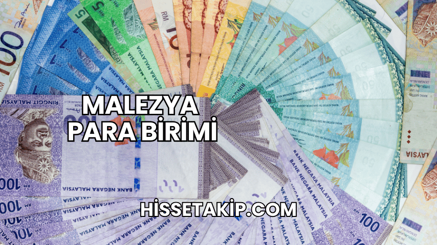 Malezya Para Birimi