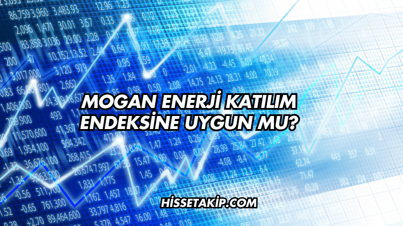 Mogan Enerji Katılım Endeksine Uygun mu?