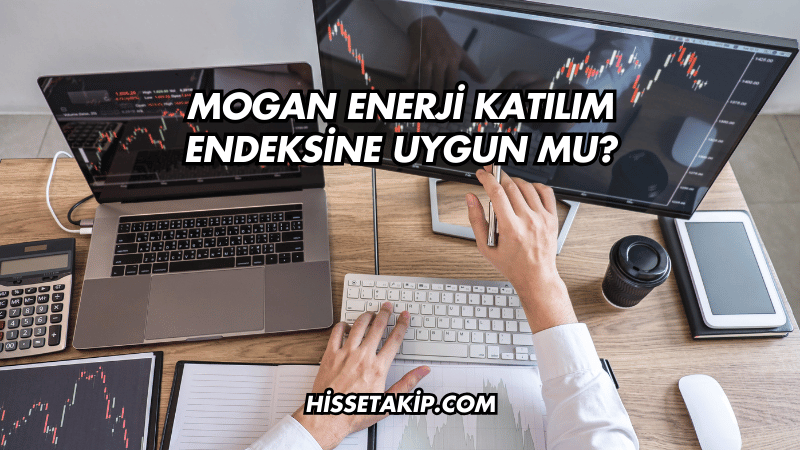 Mogan Enerji Katılım Endeksine Uygun mu?