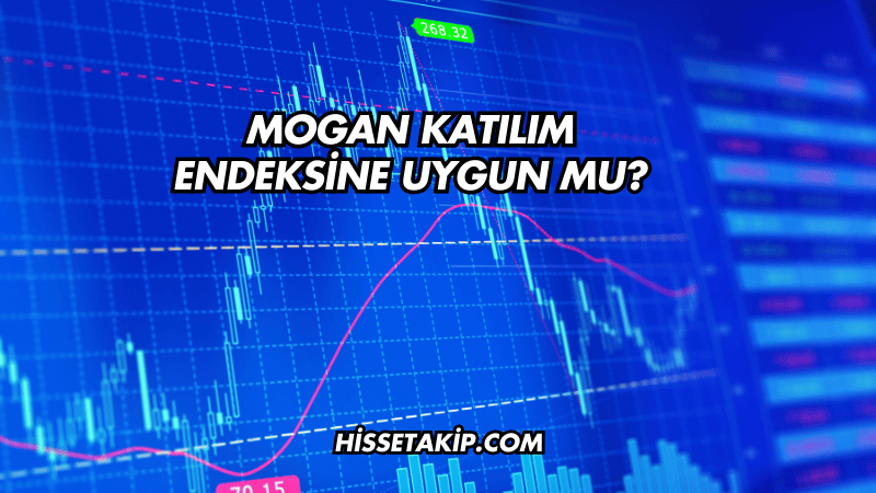 Mogan Katılım Endeksine Uygun mu?