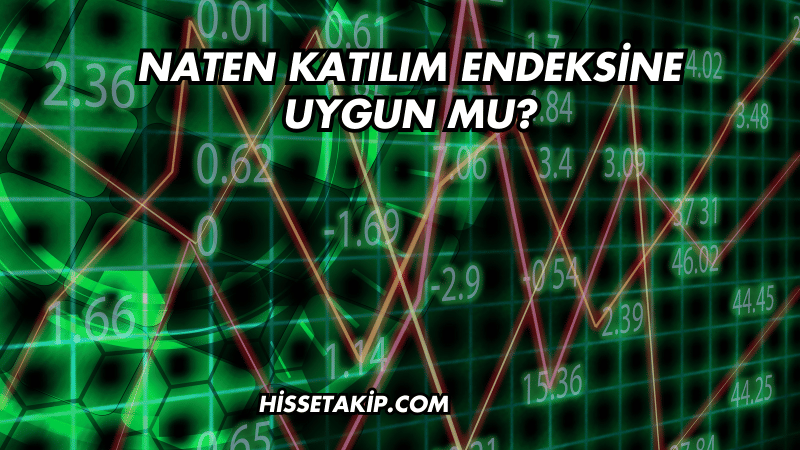 Naten Katılım Endeksine Uygun mu?