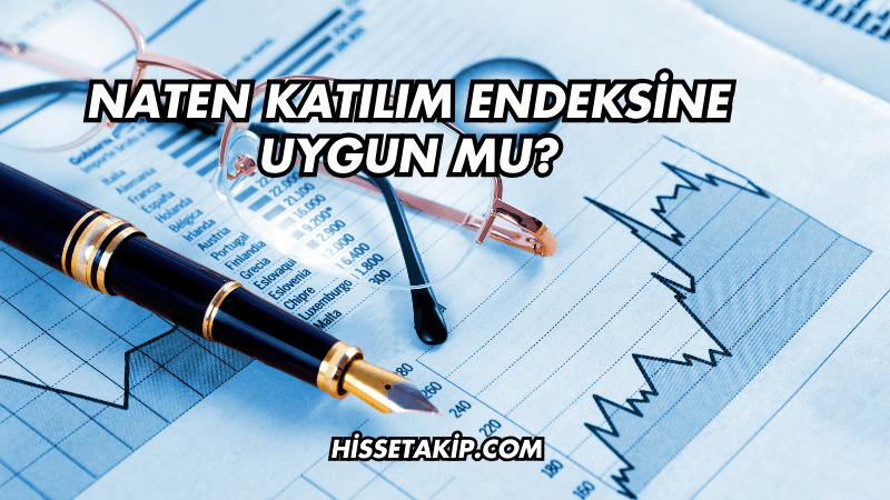 Naten Katılım Endeksine Uygun mu?