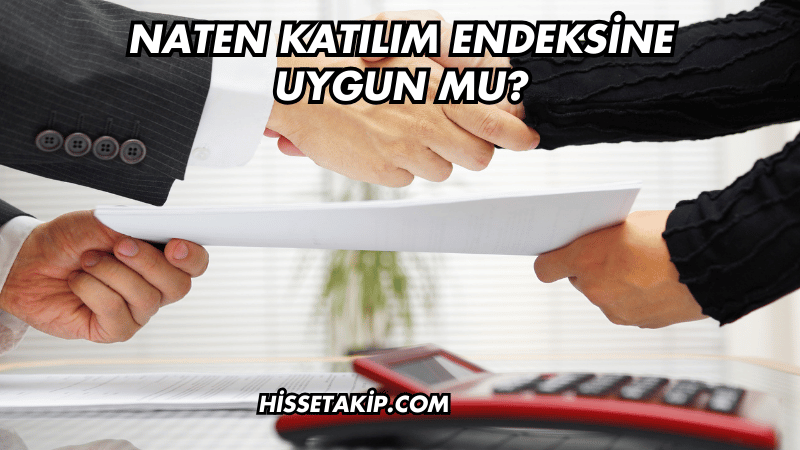 Naten Katılım Endeksine Uygun mu?