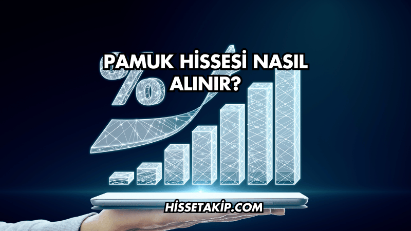 Pamuk Hissesi Nasıl Alınır?