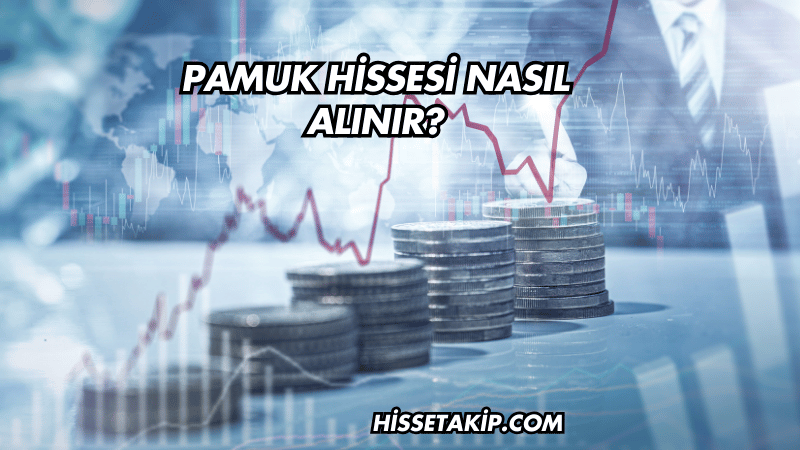 Pamuk Hissesi Nasıl Alınır?