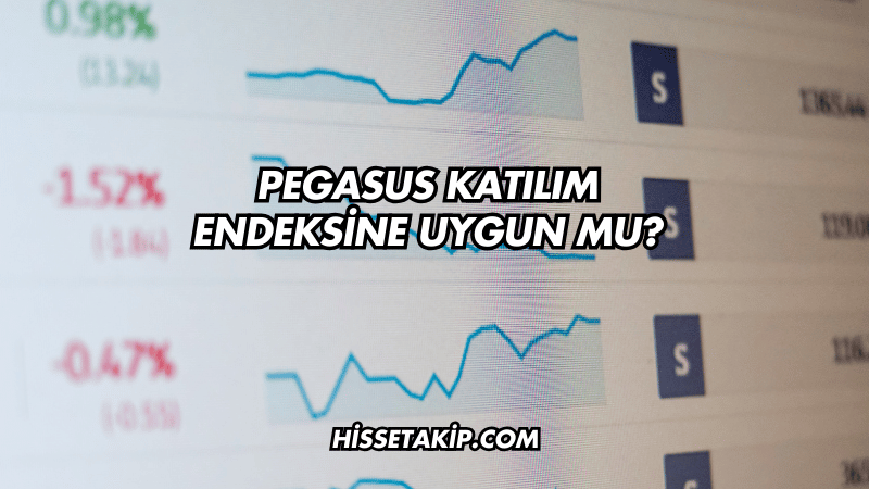 Pegasus Katılım Endeksine Uygun mu?