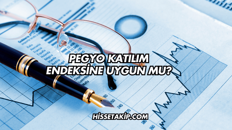 Pegyo Katılım Endeksine Uygun mu?