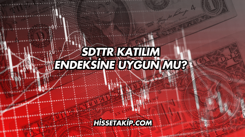 SDTTR Katılım Endeksine Uygun mu?