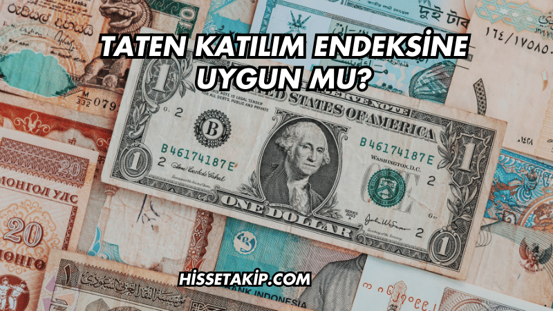 Taten Katılım Endeksine Uygun mu?