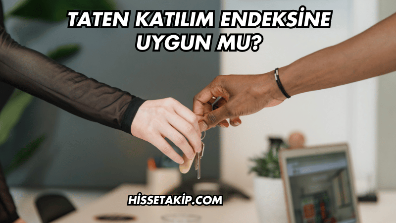 Taten Katılım Endeksine Uygun mu?