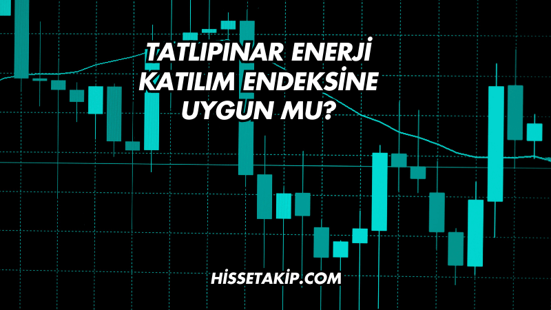 Tatlıpınar Enerji Katılım Endeksine Uygun mu?