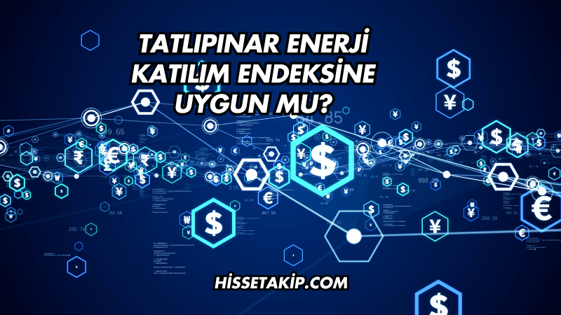 Tatlıpınar Enerji Katılım Endeksine Uygun mu?