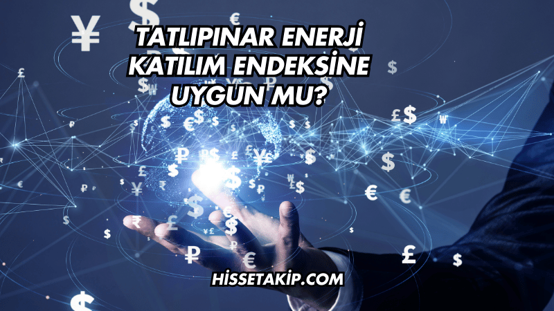 Tatlıpınar Enerji Katılım Endeksine Uygun mu?