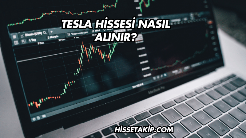 Tesla Hissesi Nasıl Alınır?