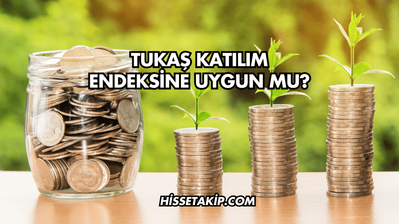 Tukaş Katılım Endeksine Uygun mu?