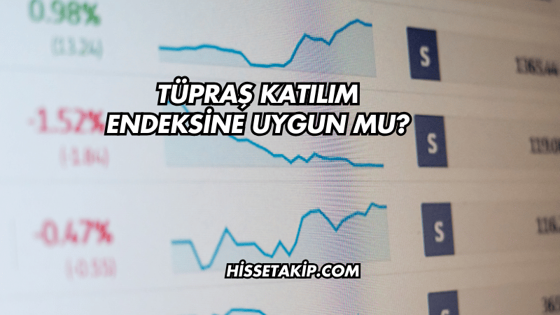 Tüpraş Katılım Endeksine Uygun mu?