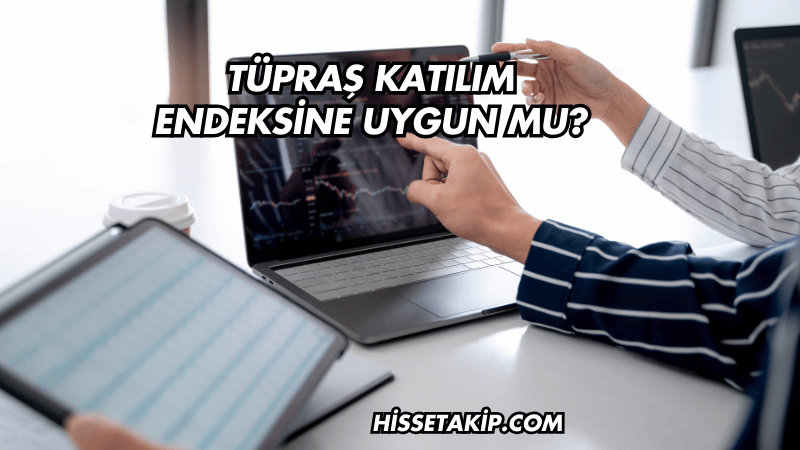 Tüpraş Katılım Endeksine Uygun mu?