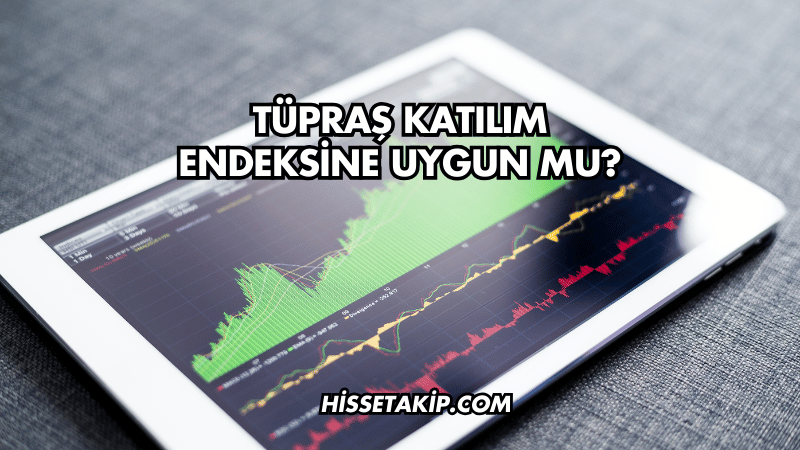 Tüpraş Katılım Endeksine Uygun mu?