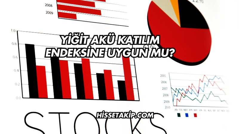 Yiğit Akü Katılım Endeksine Uygun mu?