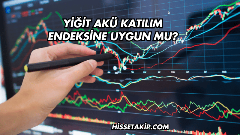 Yiğit Akü Katılım Endeksine Uygun mu?