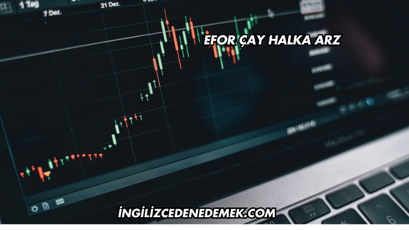 Efor Çay Halka Arz