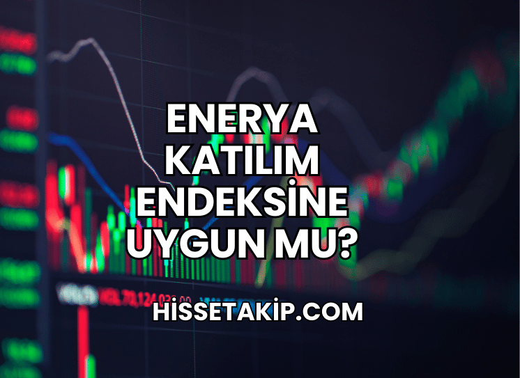 Enerya Katılım Endeksine Uygun mu?