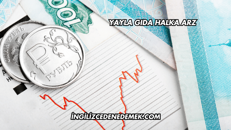 Yayla Gıda Halka Arz